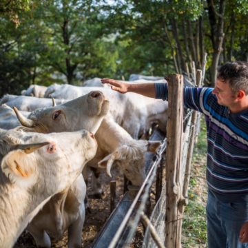 Simone Vagni, con la sua azienda agricola biologica di Cascia è il nuovo beneficiario per l’Umbria della campagna “Alleva la speranza”