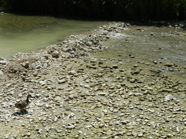 Mancanza del minimo vitale sul fiume Topino:  Legambiente Umbria presenta esposto