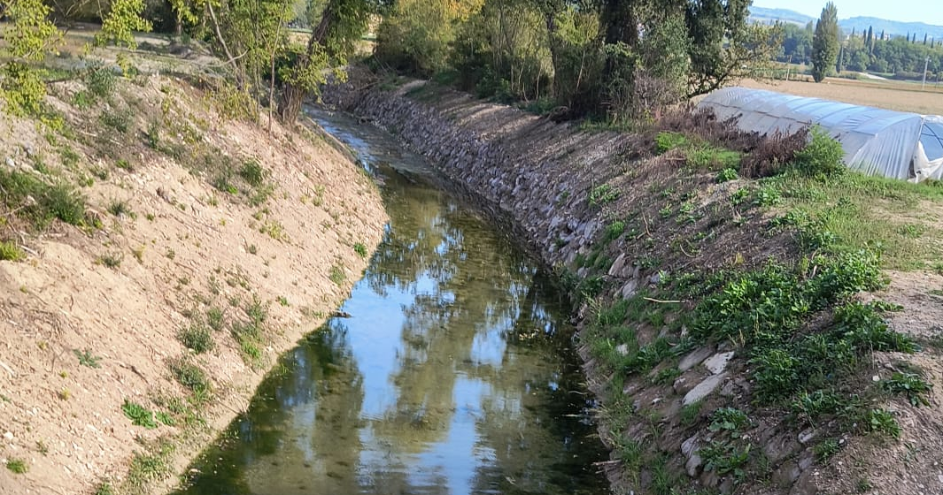 Torrente Carpina, Legambiente Umbria: la sicurezza idraulica non si ottiene cancellando la natura dei fiumi.