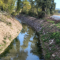 Torrente Carpina, Legambiente Umbria: la sicurezza idraulica non si ottiene cancellando la natura dei fiumi.