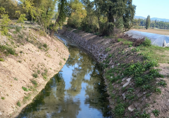 Torrente Carpina, Legambiente Umbria: la sicurezza idraulica non si ottiene cancellando la natura dei fiumi.